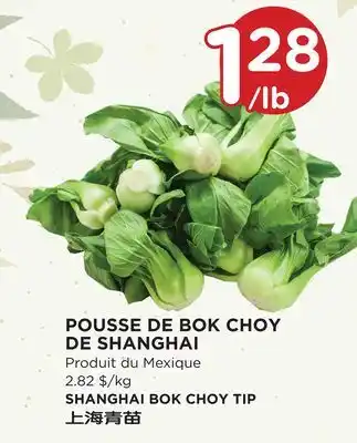 Kim Phat SHANGHAI BOK CHOY TIP offer