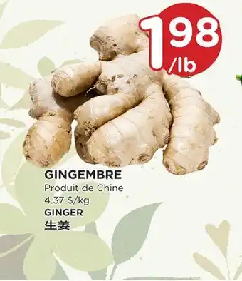 Kim Phat GINGER offer