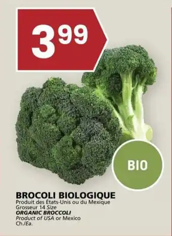 Rachelle-Bery Grocery ORGANIC BROCCOLI offer