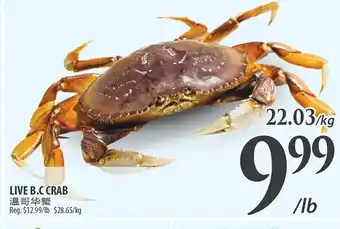 Al Premium Food Mart LIVE B.C CRAB offer