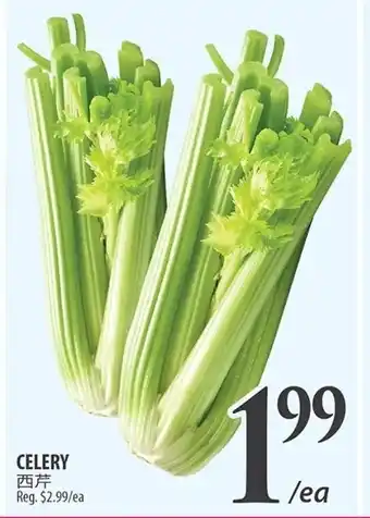 Al Premium Food Mart CELERY offer