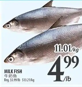 Al Premium Food Mart MILK FISH offer