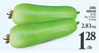 Al Premium Food Mart LONG SQUASH offer