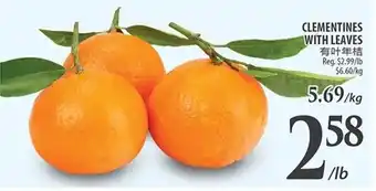 Al Premium Food Mart CLEMENTINES WITH LEAVES offer