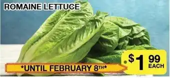 Lococo's ROMAINE LETTUCE offer