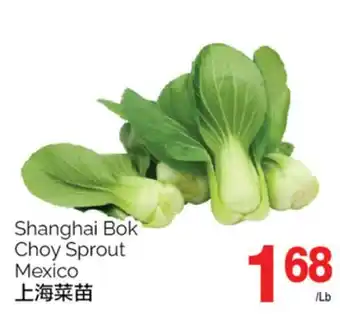 T&T Supermarket SHANGHAI BOK CHOY SPROUT offer