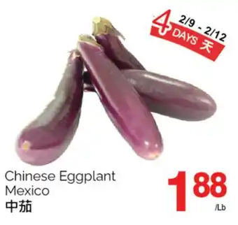 T&T Supermarket CHINESE EGGPLANT offer