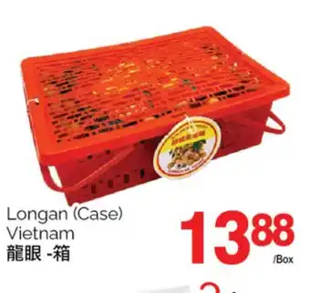 T&T Supermarket LONGAN offer