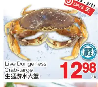 T&T Supermarket LIVE DUNGENESS CRAB-LARGE offer