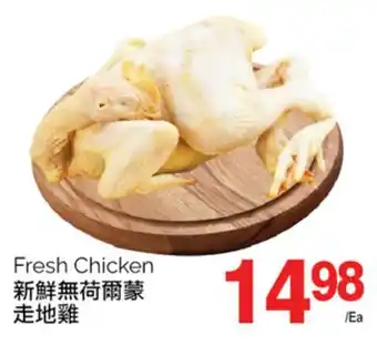 T&T Supermarket FRESH CHICKEN offer