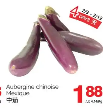 T&T Supermarket AUBERGINE CHINOISE offer