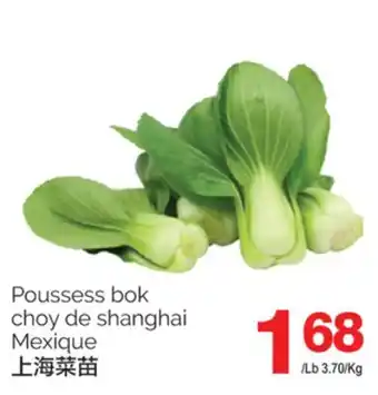 T&T Supermarket POUSSESS BOK CHOY DE SHANGHAI offer