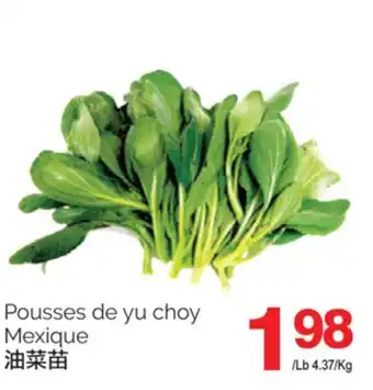 T&T Supermarket POUSSES DE YU CHOY offer