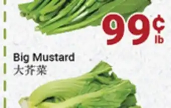 Oceans Fresh Food Market Yu Choy offer