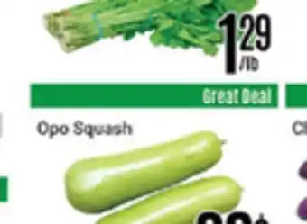 Nations Fresh Foods OPO SQUASH offer