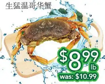 Ample Food Market Live BC Crab offer