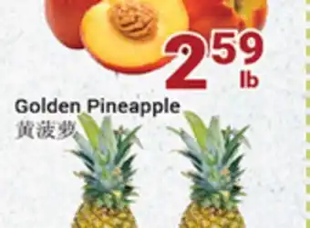Oceans Fresh Food Market Golden Pineapple offer