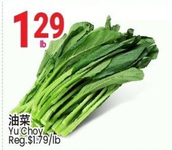 SunFood Supermarket Yu Choy offer
