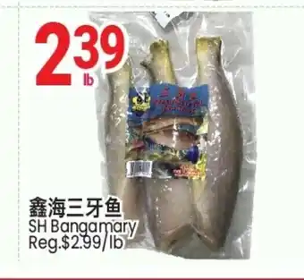 SunFood Supermarket SH Bangamary offer