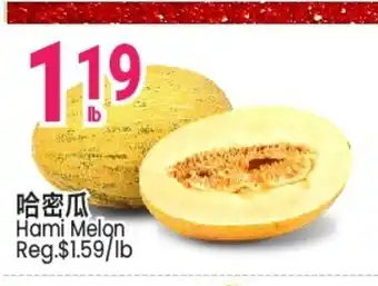 Hami Melon