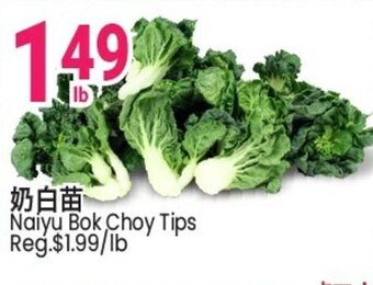 SunFood Supermarket Naiyu Bok Choy Tips offer