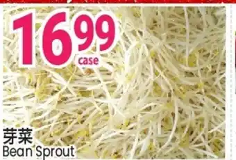 SunFood Supermarket Bean Sprout offer