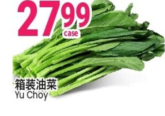 SunFood Supermarket Yu Choy offer