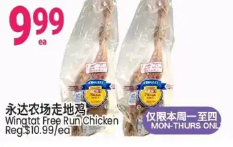 Wingtat Free Run CHicken
