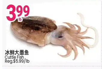 SunFood Supermarket Cuttle Fish offer