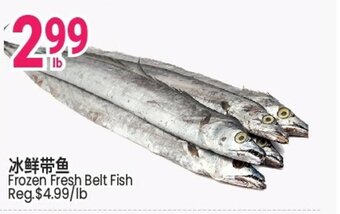 Frozen Fresh Belt FIsh