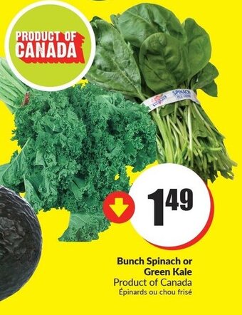 FreshCo Bunch Spinach or Green Kale offer