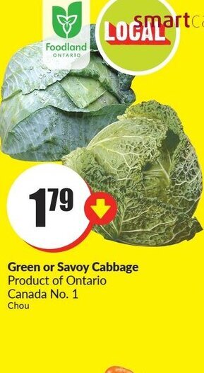 FreshCo Green or Savoy Cabbage offer