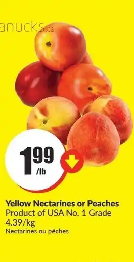 FreshCo Yellow Nectarines or Peaches offer