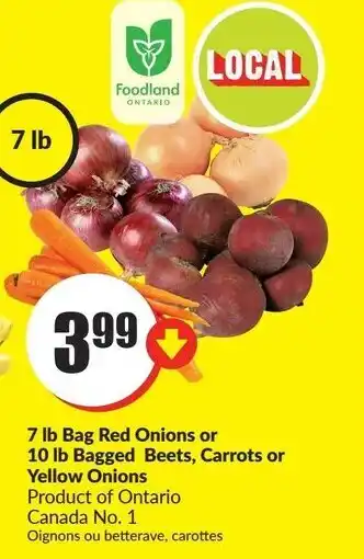 FreshCo 7 lb Bag Onions or 10 lb Bagged Beets offer