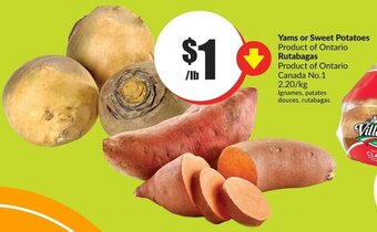 FreshCo Yams or sweet potatoes offer