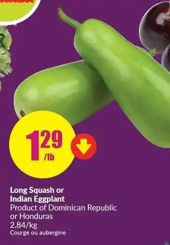 FreshCo Long squash or indian eggplant offer