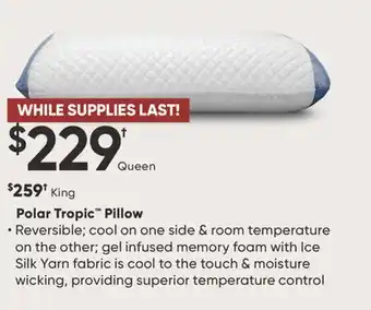 Sleep Country Polar Tropic Pillow offer