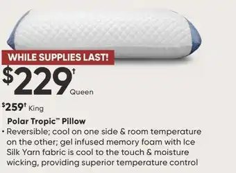 Dormez Vous Polar Tropic Pillow offer