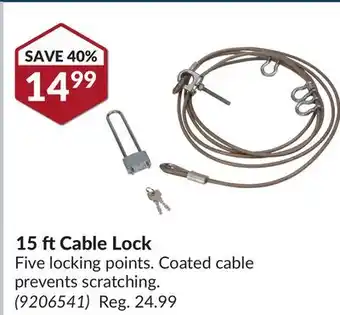Princess Auto 15 ft Cable Lock offer