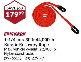 Princess Auto 1-1/4 in. x 30 ft 44, 000 lb Kinetic Recovery Rope offer