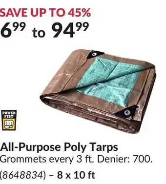 Princess Auto 8 x 10 ft Purpose Poly Tarps Grommets offer
