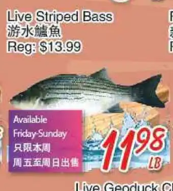 Foody Mart Live Striped Bass offer