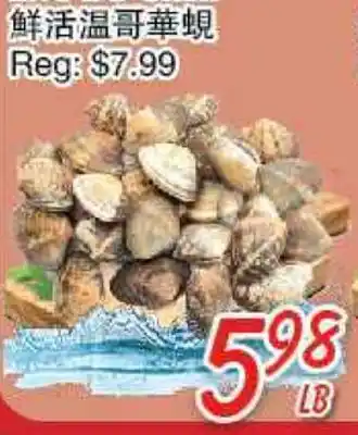 Foody Mart Live BC Clam offer