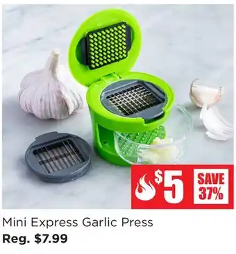 Kitchen Stuff Plus Mini Express Garlic Press offer