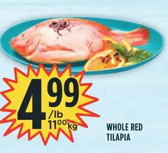 Marché Adonis WHOLE RED TILAPIA offer