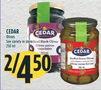 Marché Adonis CEDAR Olives offer
