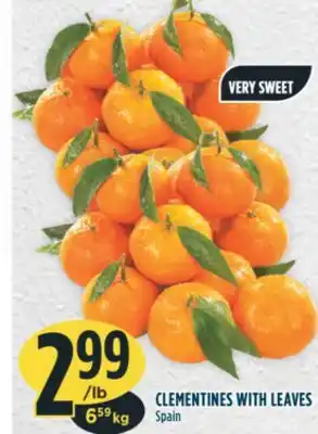 Marché Adonis CLEMENTINES WITH LEAVES offer