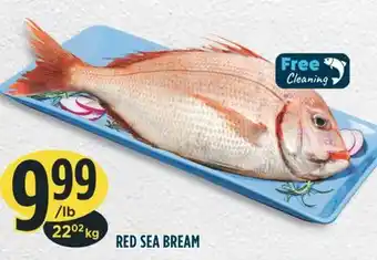 Marché Adonis RED SEA BREAM offer