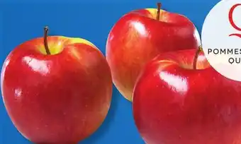IGA McINTOSH, AMBROSIA, CORTLAND, EMPIRE OR SPARTAN APPLES offer
