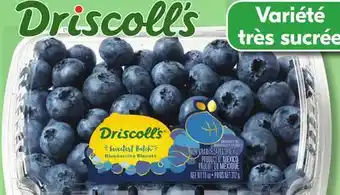 IGA DRISCOLL'S BLUEBERRIES offer